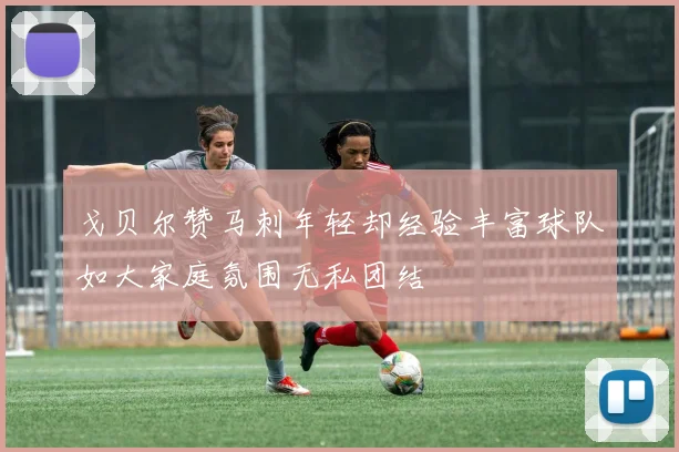 戈贝尔赞马刺年轻却经验丰富球队如大家庭氛围无私团结